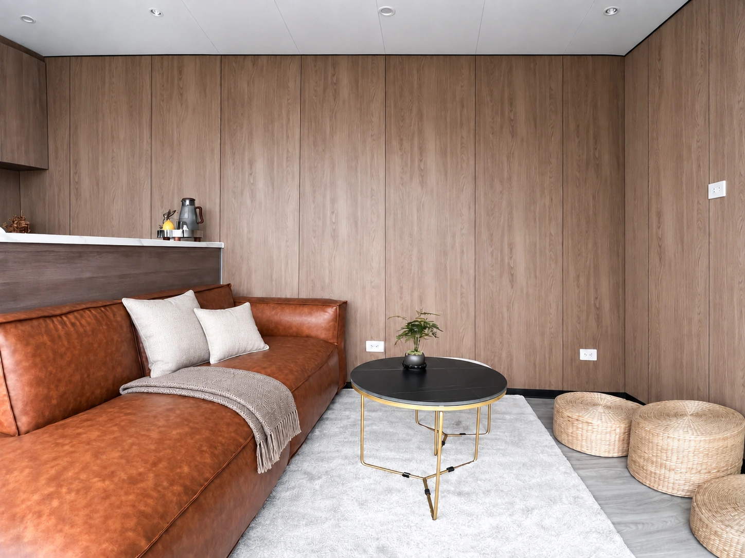 V9 Interior · Lounge